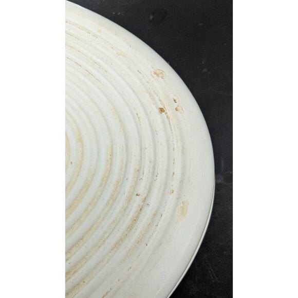 Portmeirion Botanic Garden Large Oval 16” Baking Serving Dish 1972